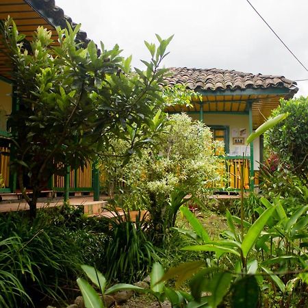 The Plantation House Travellers Hostel Саленто Екстер'єр фото