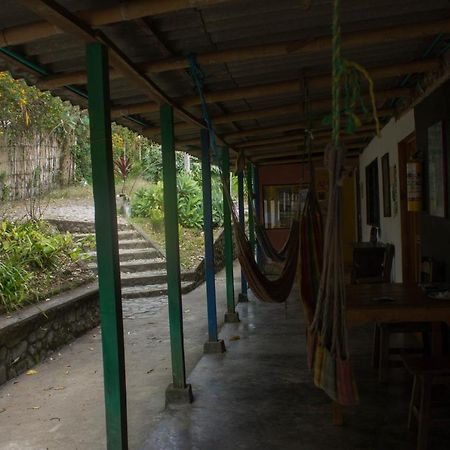 The Plantation House Travellers Hostel Саленто Екстер'єр фото