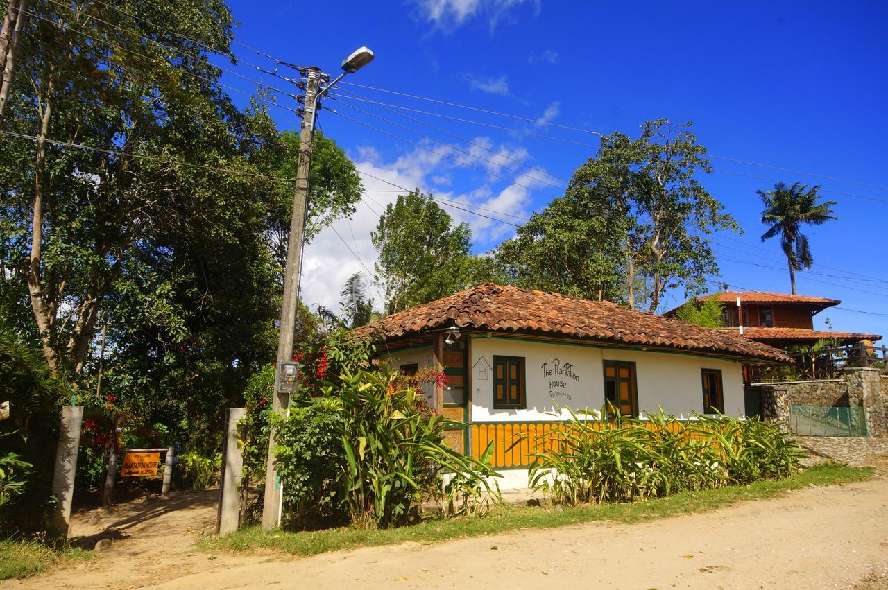 The Plantation House Travellers Hostel Саленто Екстер'єр фото