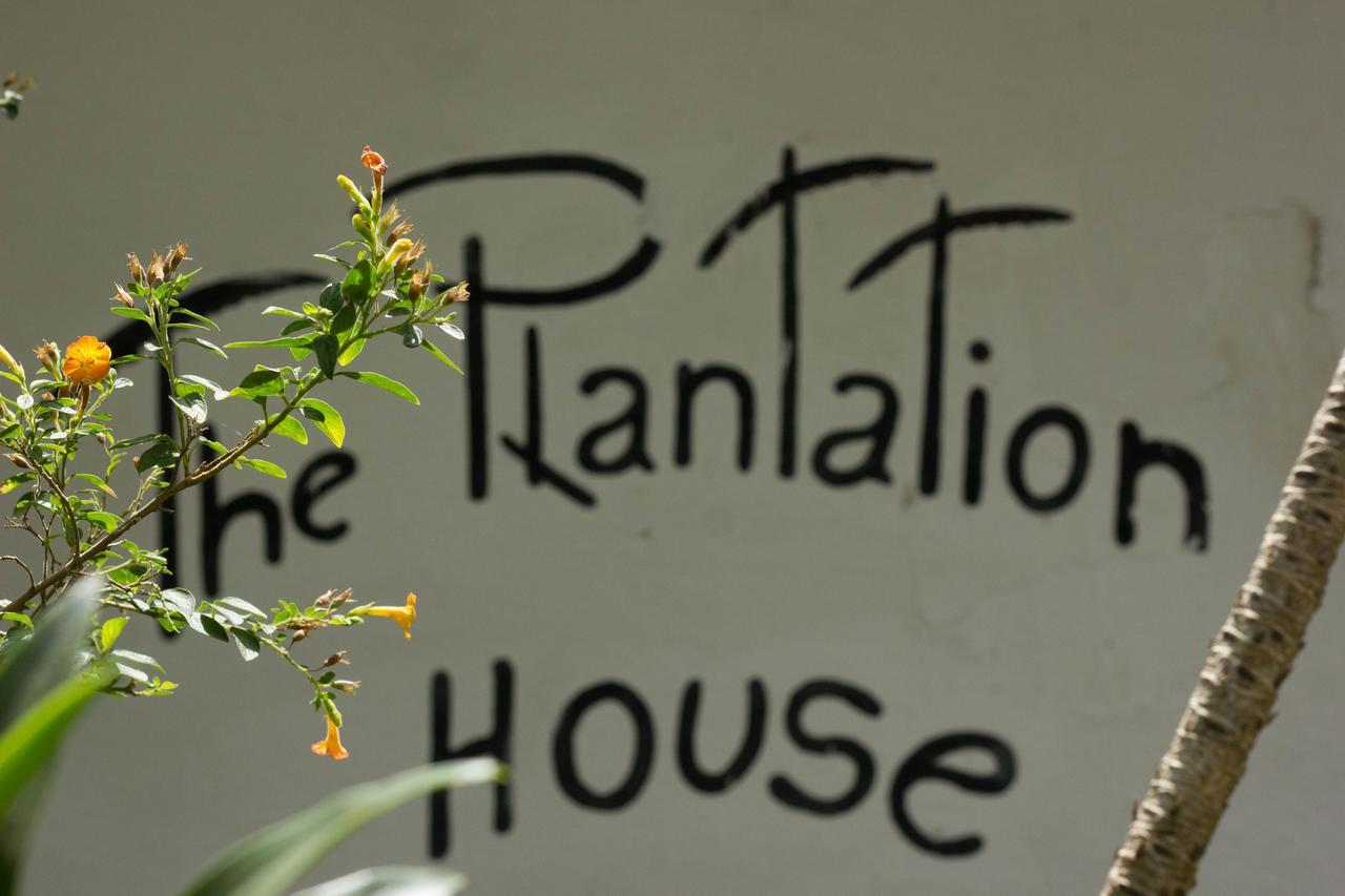 The Plantation House Travellers Hostel Саленто Екстер'єр фото